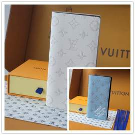 Picture of Louis Vuitton Wallets _SKUfw220045131fw